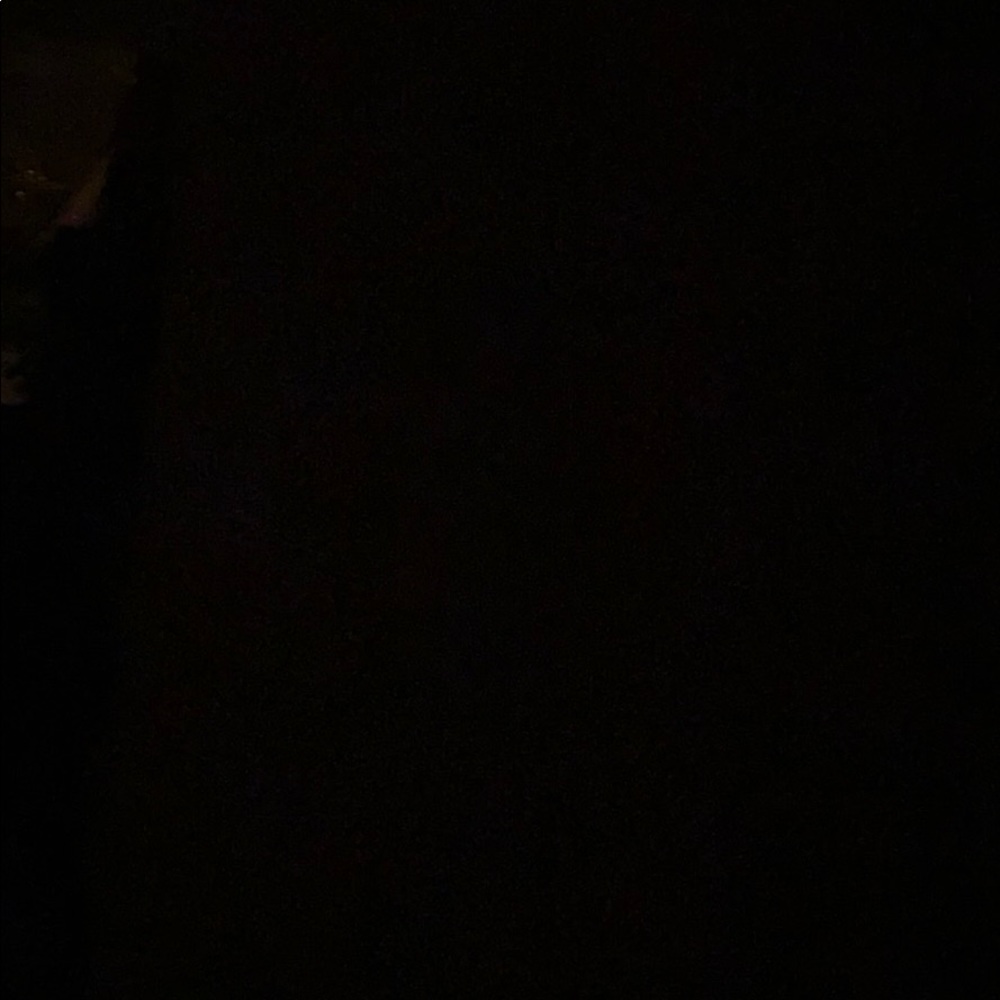 Meet your Posher, Lily